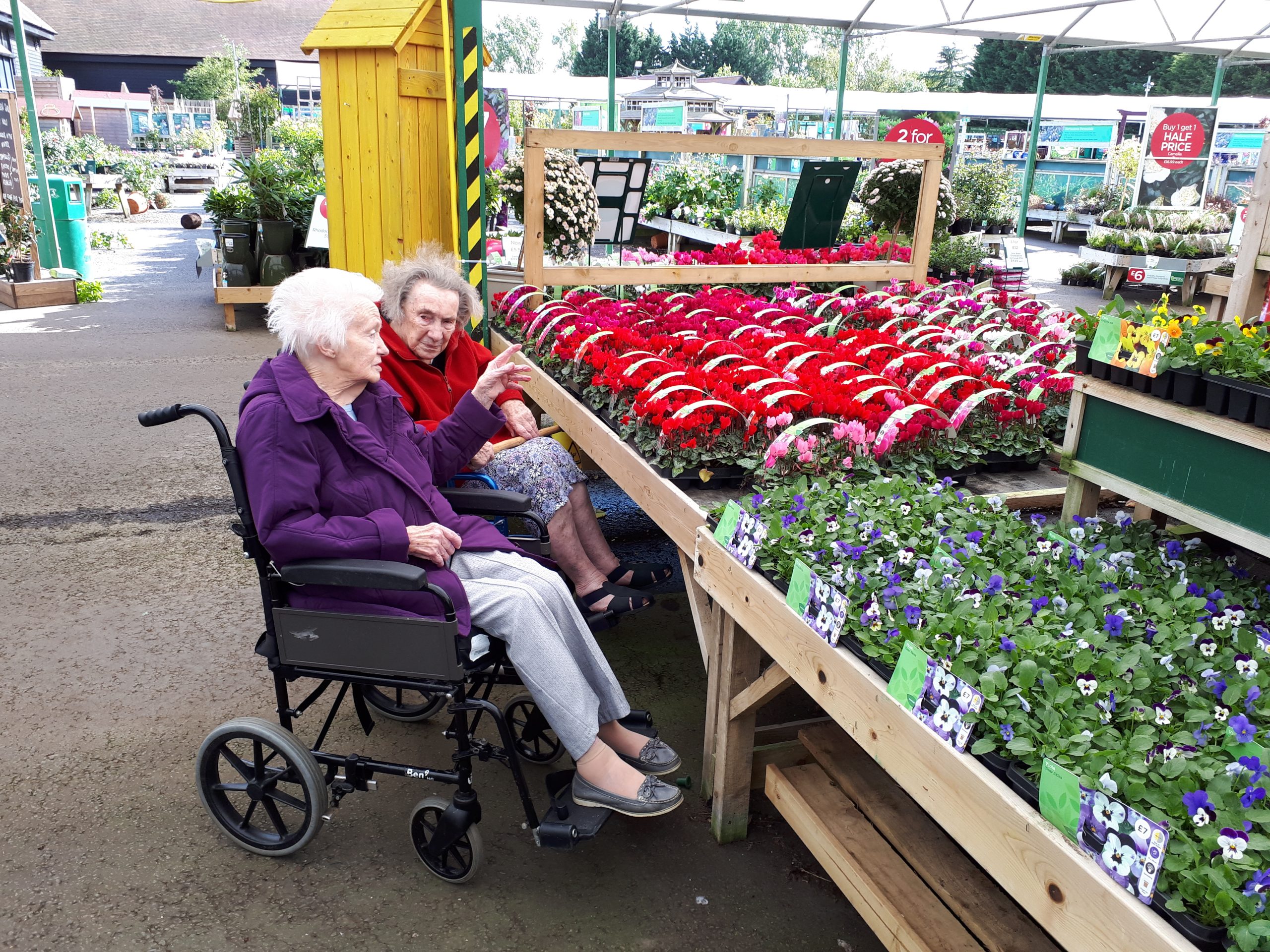 Two elderly women, one in a wheelchair, sit beside vibrant flower displays in a garden centre, enjoying a conversation.