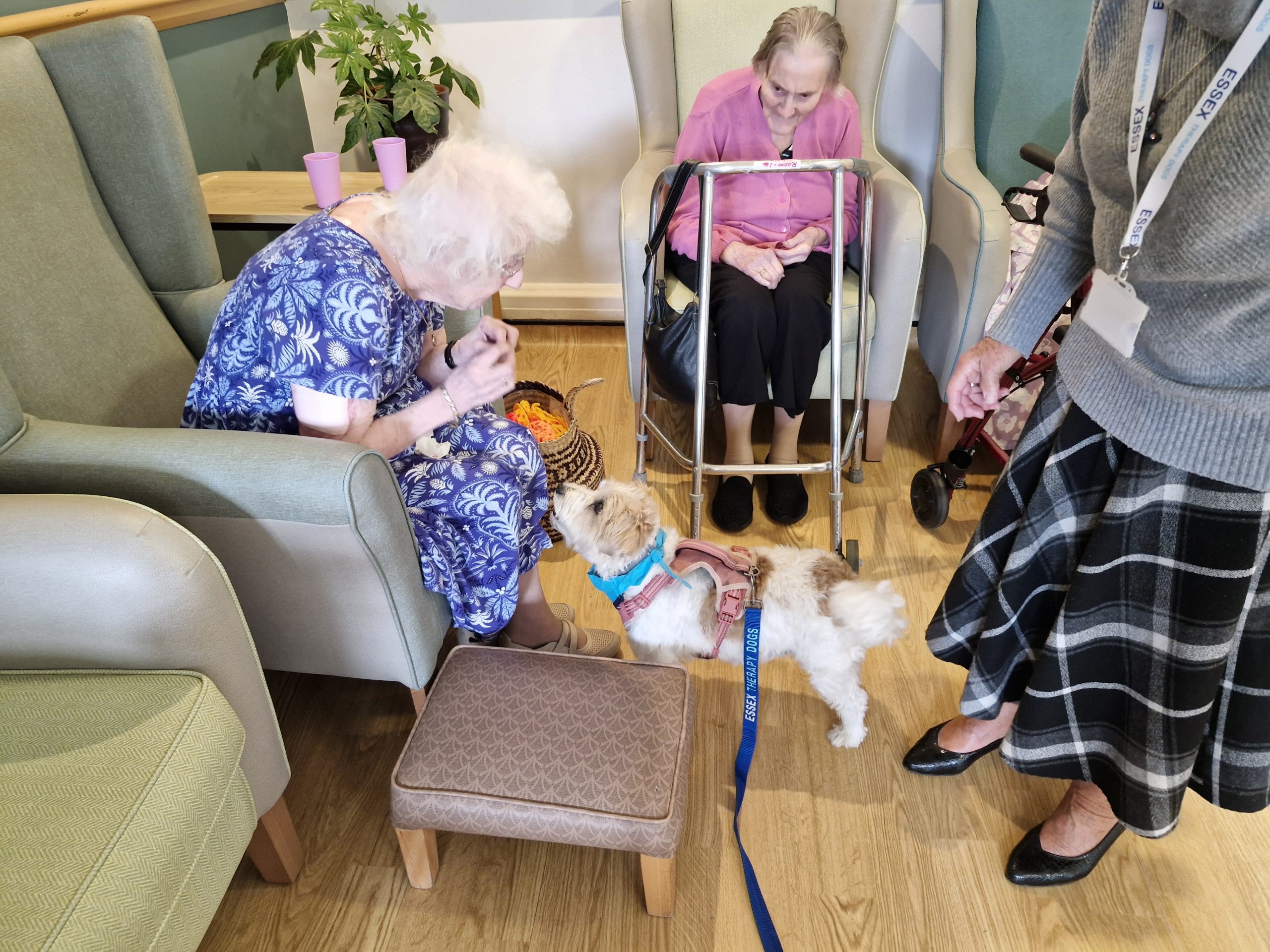 A resident in a floral dress interacts with a small dog, while two other elderly women look on, creating a warm, welcoming atmosphere.