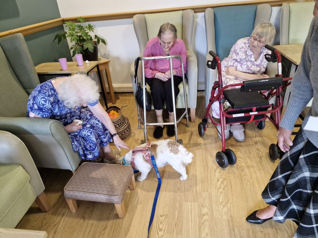 Three elderly women in a care home lounge interact with a small dog. Soft armchairs and plants create a warm, inviting atmosphere.