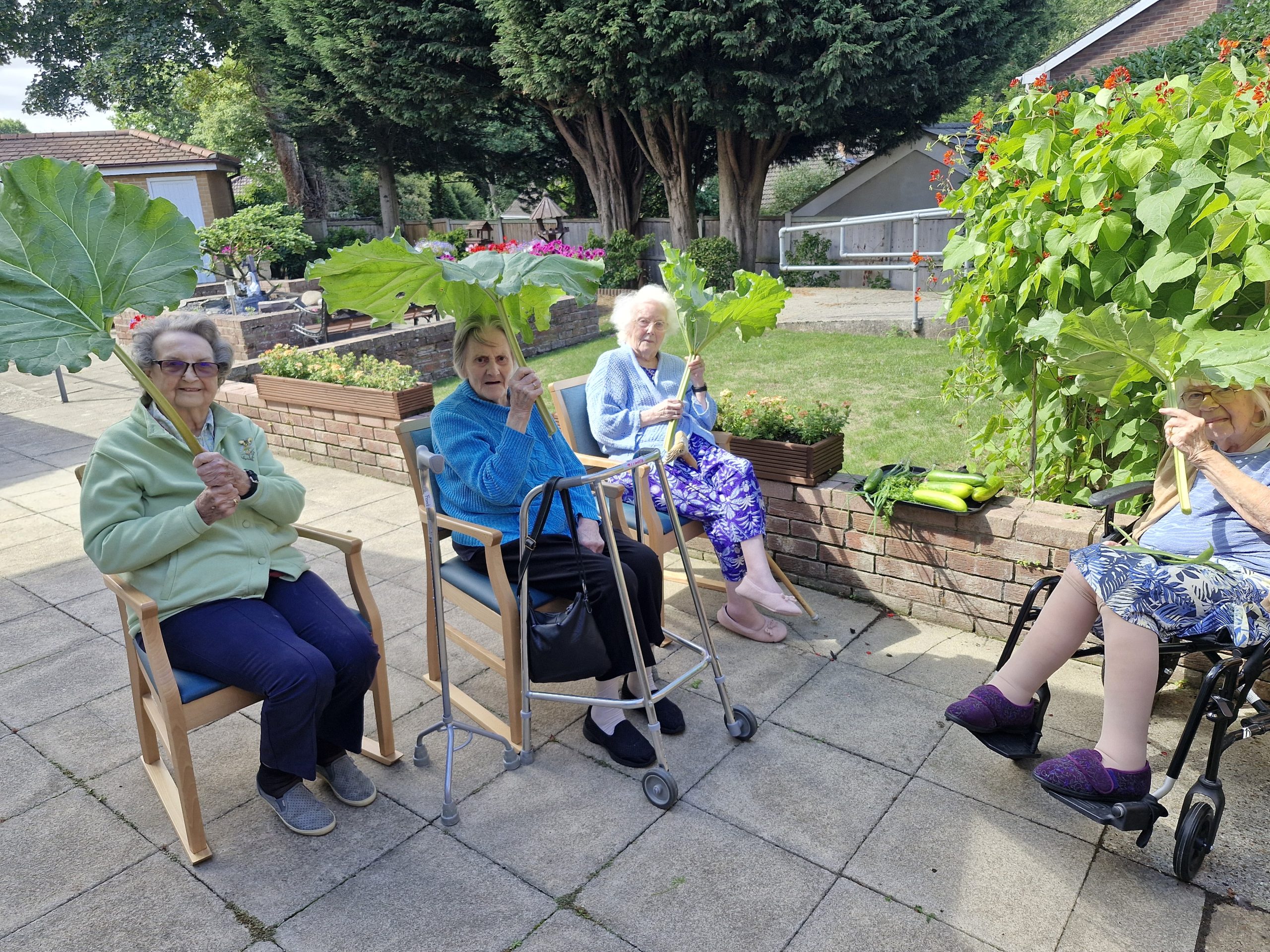 Four residents at Stanway Green Lodge enjoy the garden, holding large leaves, seated on chairs. Bright greenery and flowers surround them.