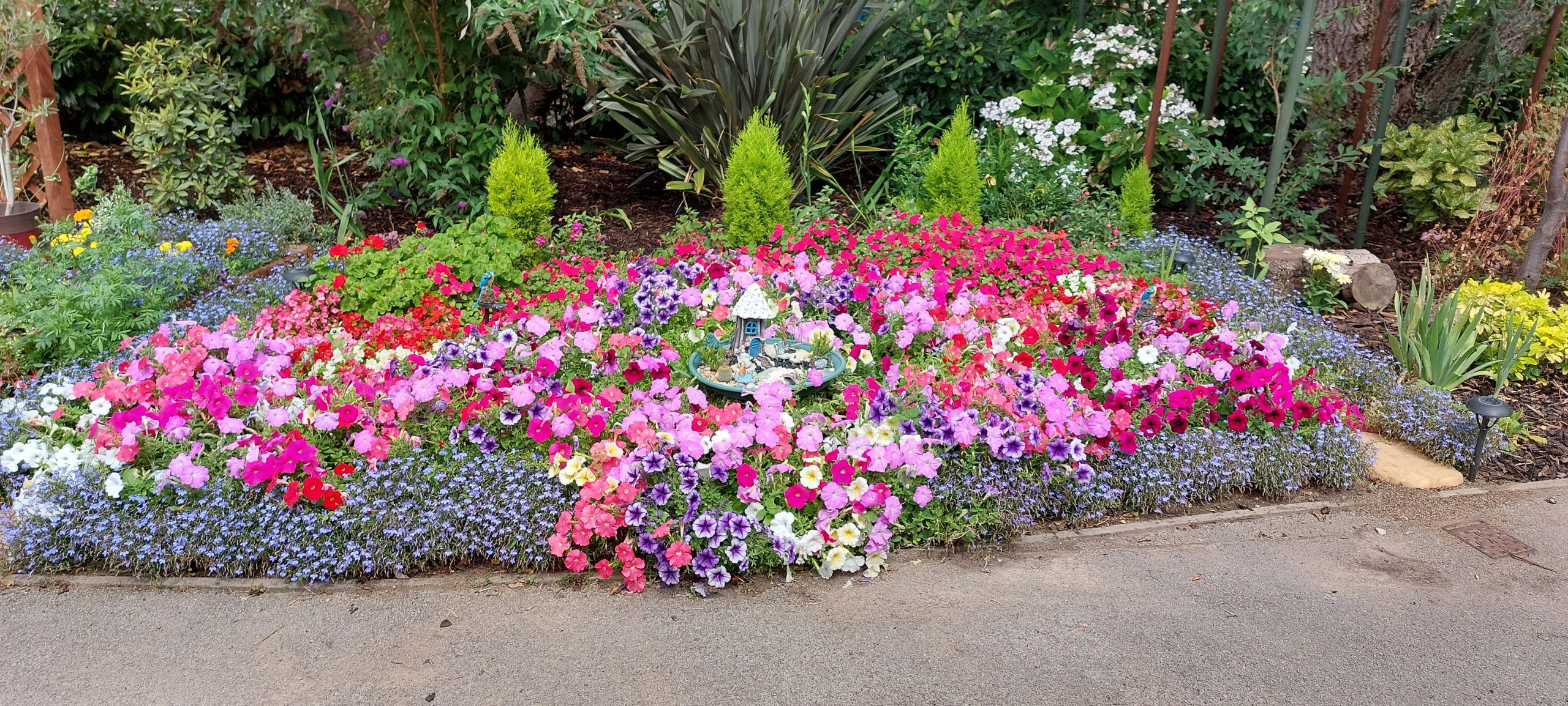 A vibrant flowerbed featuring a mix of colourful petunias, pansies, and greenery, creating a welcoming garden atmosphere.