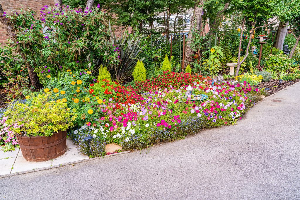 Vibrant flower bed with marigolds, petunias, and other blooms, bordered by greenery, along a paved pathway at Stanway Green Lodge.