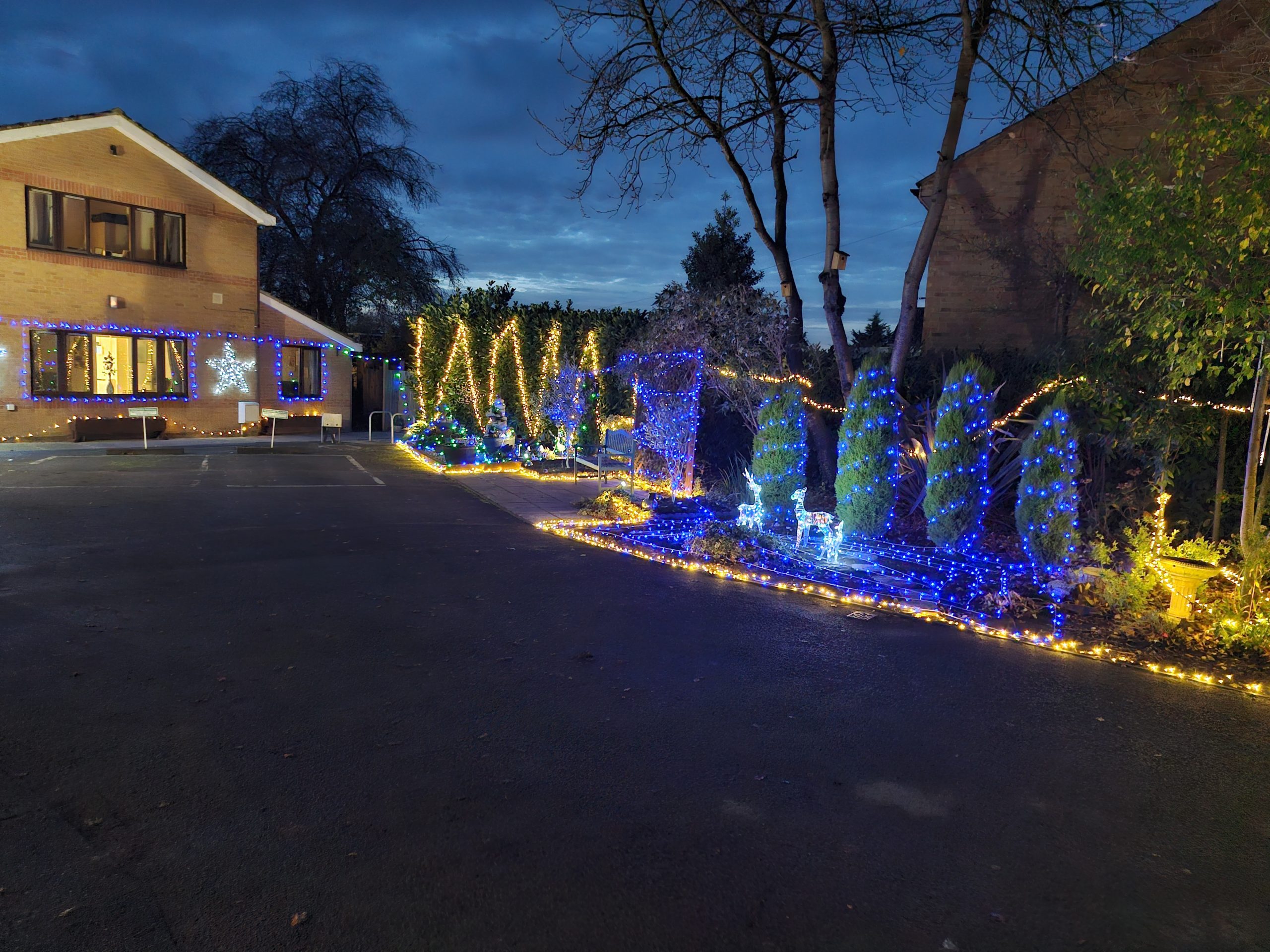 Festively illuminated exterior of Stanway Green Lodge, featuring blue and yellow lights adorning trees and bushes, against a twilight sky.