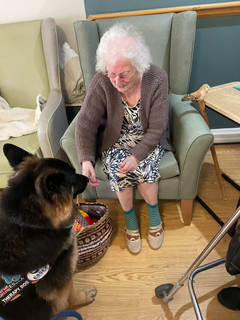 An elderly woman in a cardigan smiles and interacts with a therapy dog, sitting in a green armchair with a basket of toys nearby.